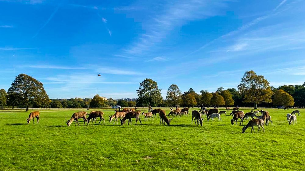 Photograph by LIviu-Andrei Enache