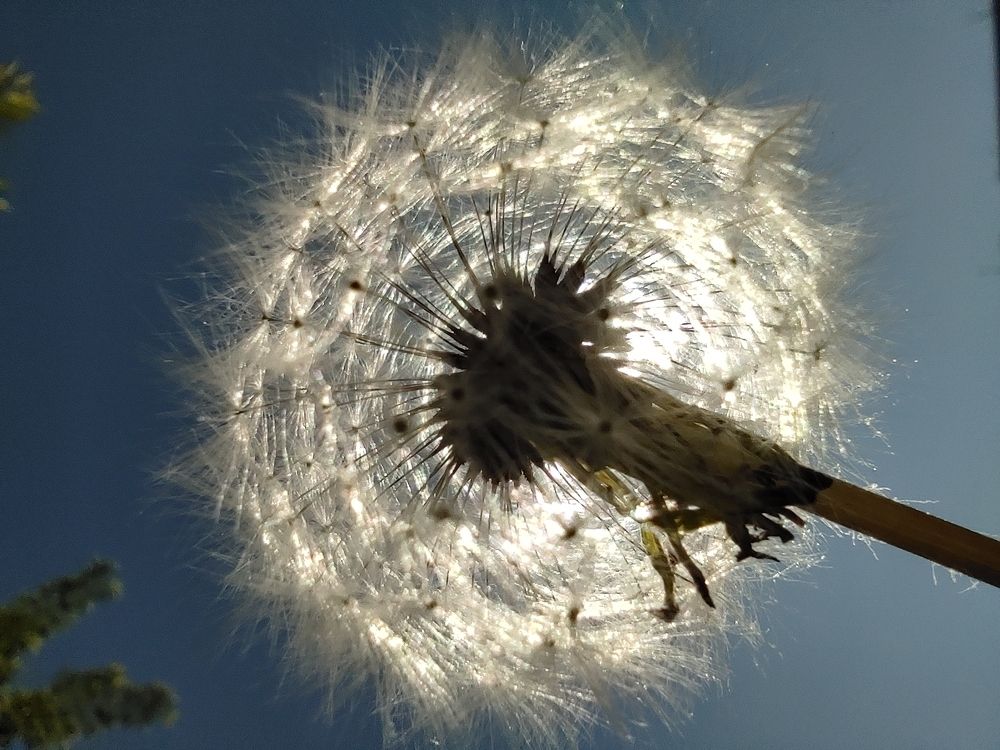 Photograph by Светлана Холодова