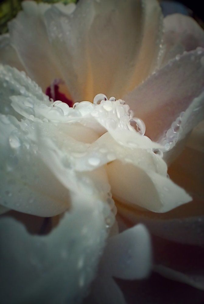 Photograph by Мария Коробова