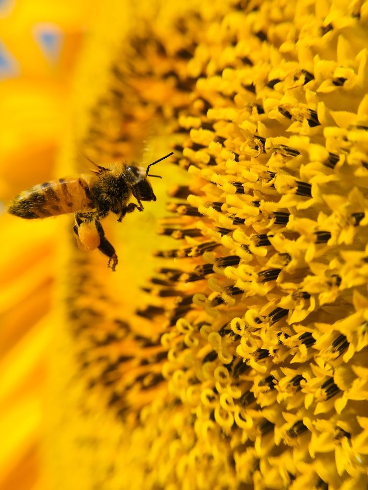 Photograph by mohsen eisazadeh