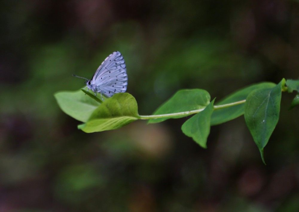 Photograph by Mohammadreza Majlesifar