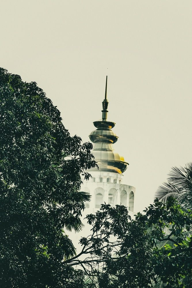 Фотография автора DALUI AMIT KUMAR