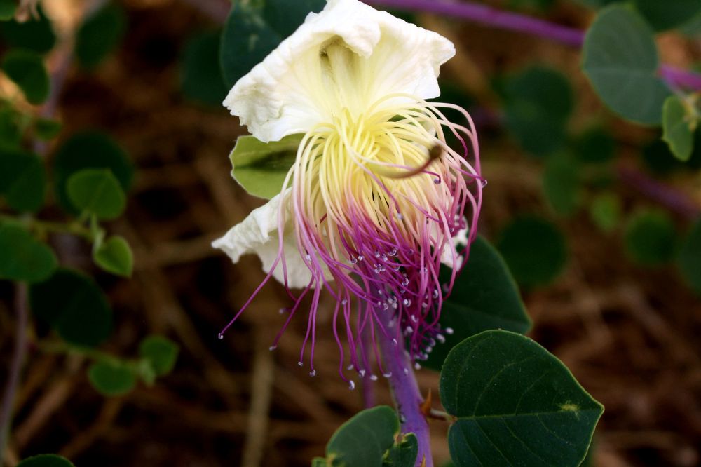 Photograph by Сергей Рапопорт