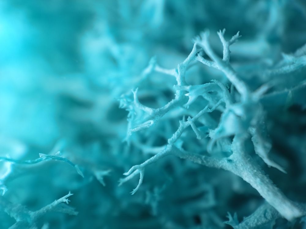 Photograph by Олег Зальвовский