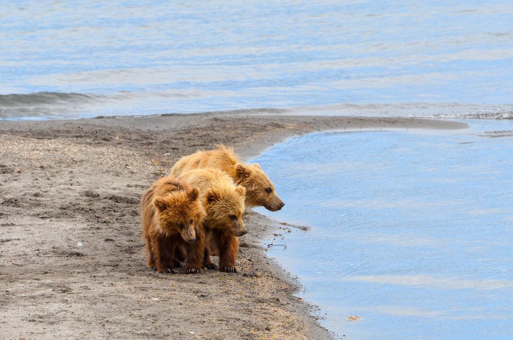 Photograph by Юлия Тельпова
