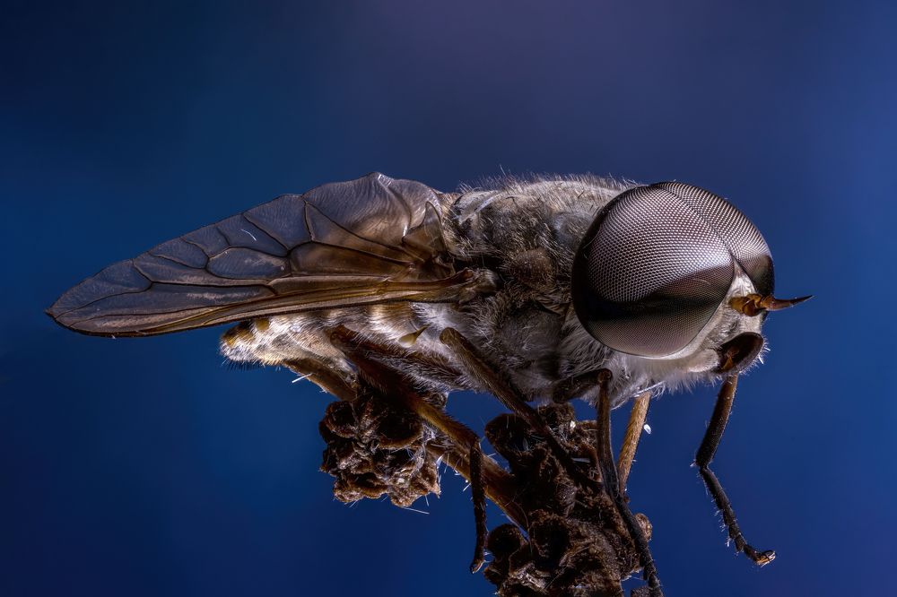 Photograph by Andrey Ostapenko