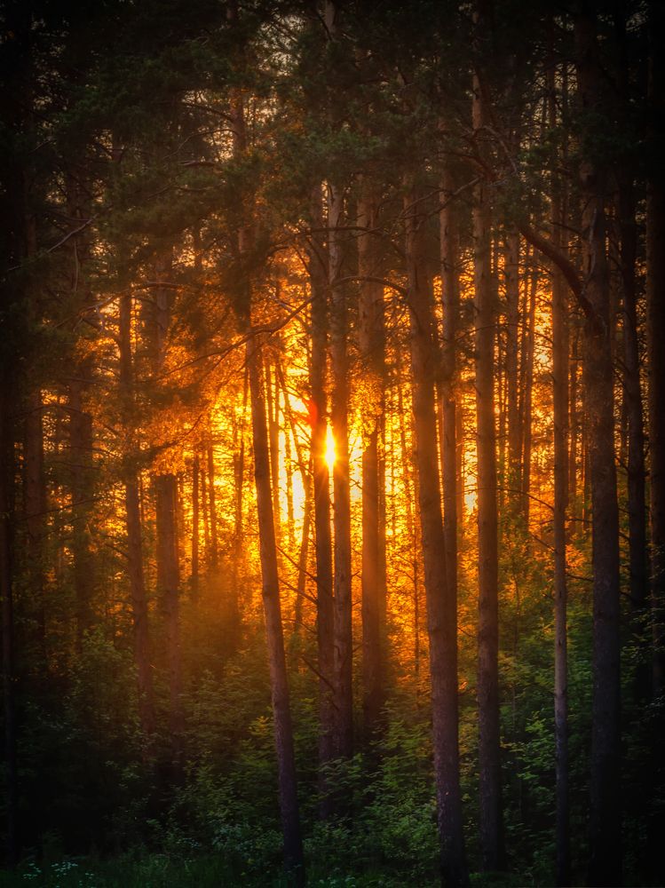 Фотография автора Илья Большаков