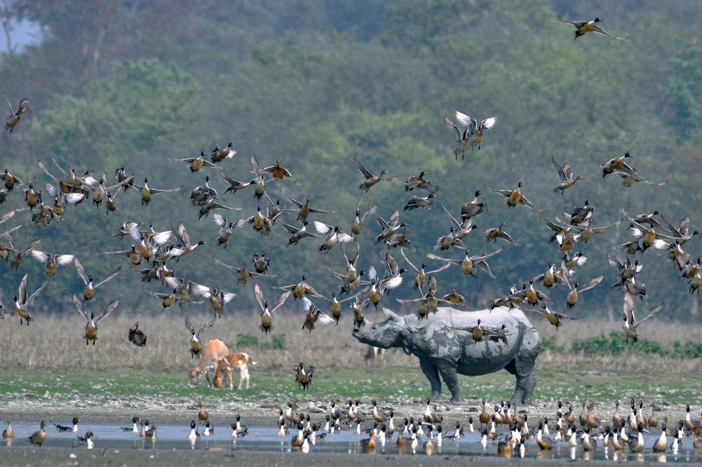 Photograph by Tanvir Ahmed