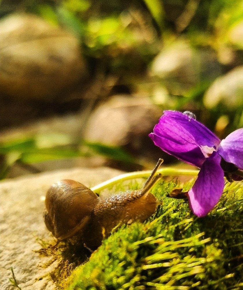 Фотография автора Марина Гусева