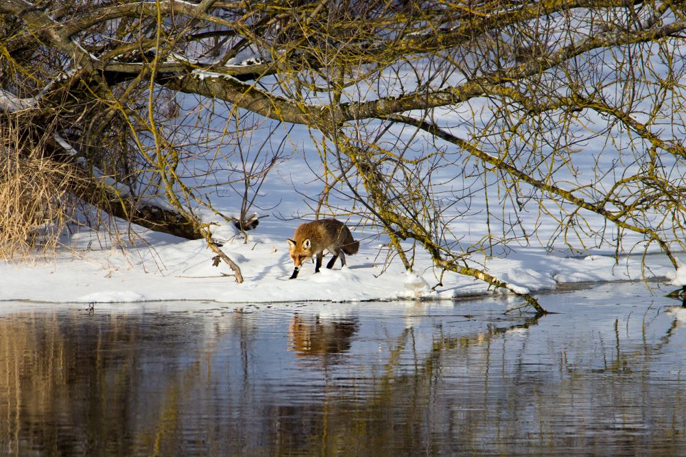 Photograph by Anna Suchcicka