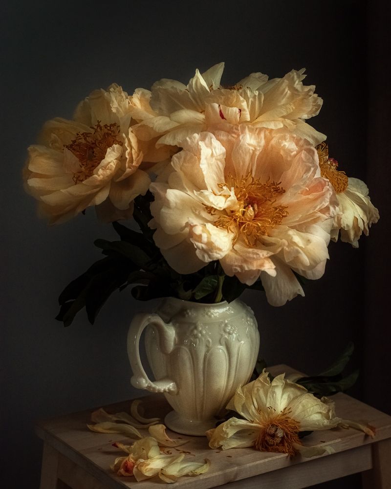 Фотография автора Елена Баклач