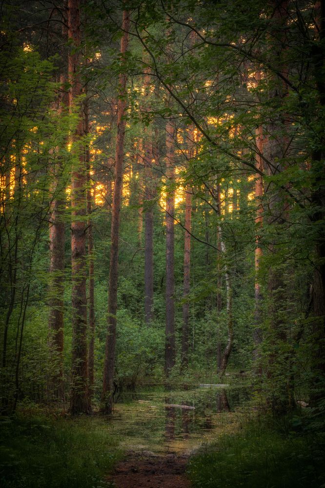 Фотография автора Илья Большаков