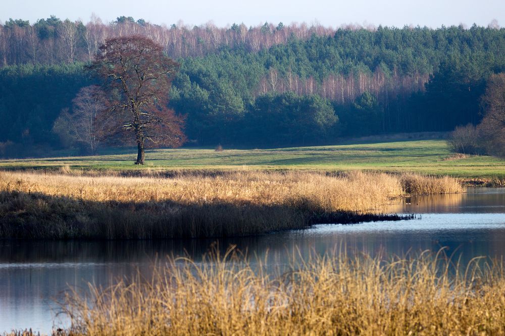 Photograph by Anna Suchcicka