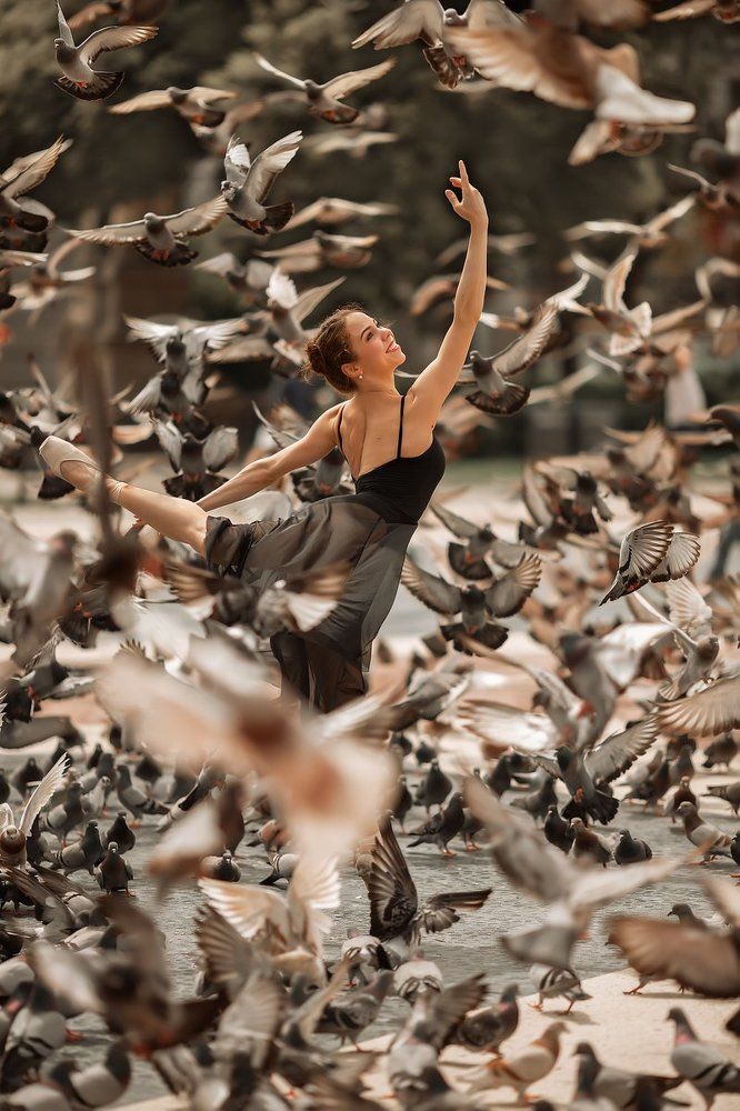 Dance with pigeons