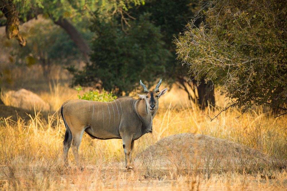 Фотография автора Subi Sridharan