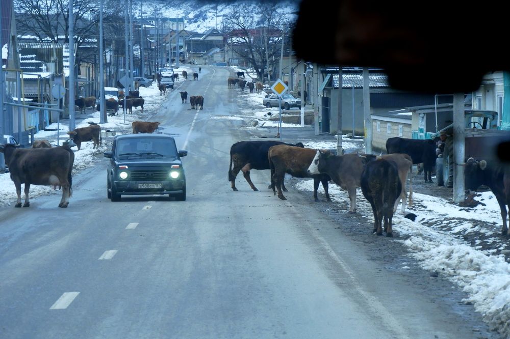 Photograph by Иван Скорик