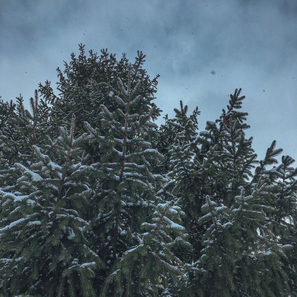 Photograph by Юлія Доманська