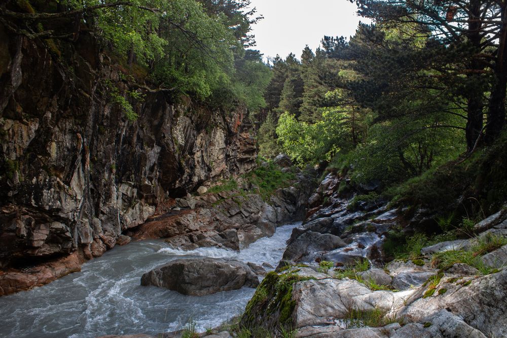 Photograph by сергей паршиков