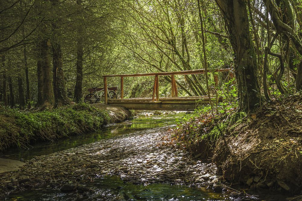 Photograph by Vitaliy Tuzov