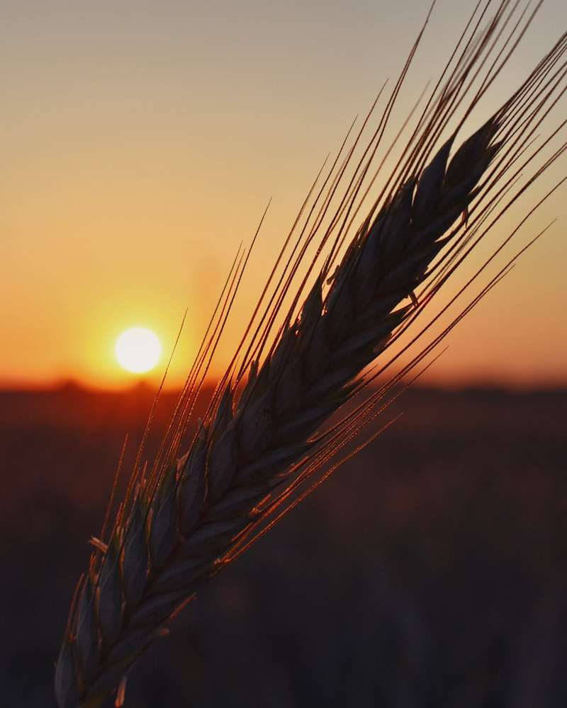 Photograph by Михаил Бородкин