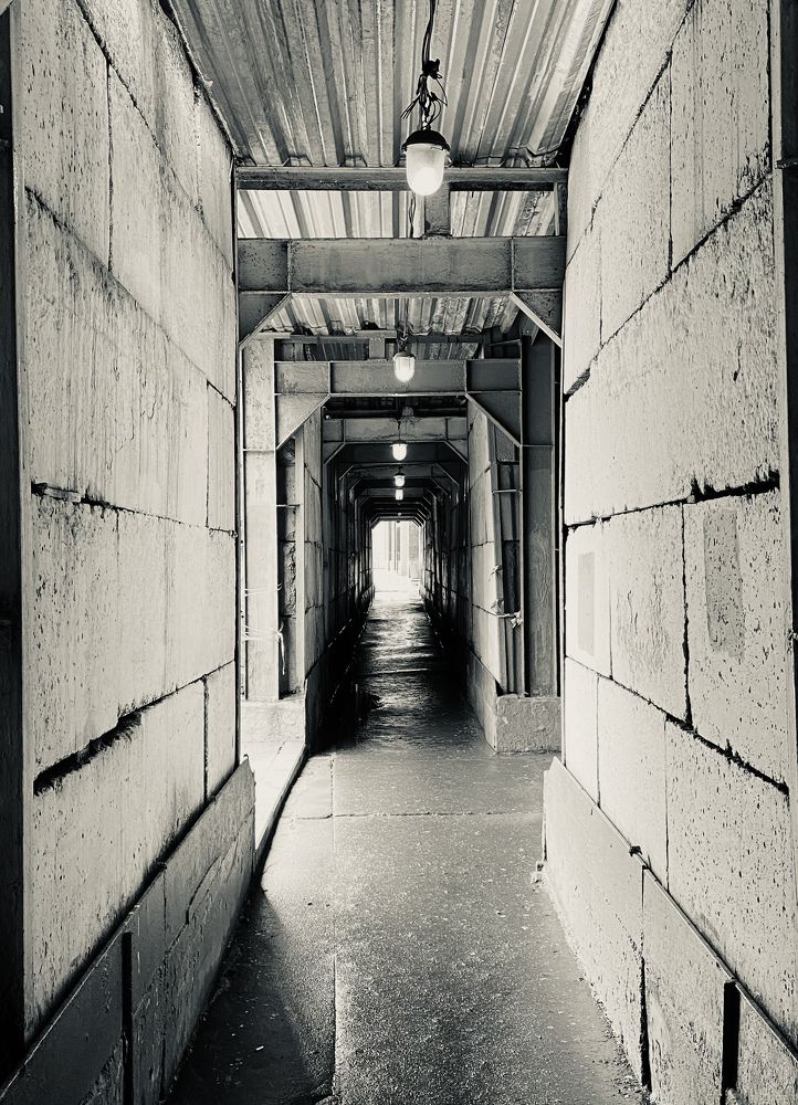 Фотография автора Vera Dobychina