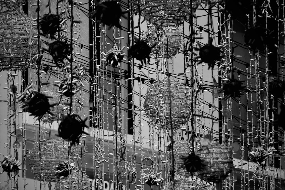 Фотография автора Vera Dobychina