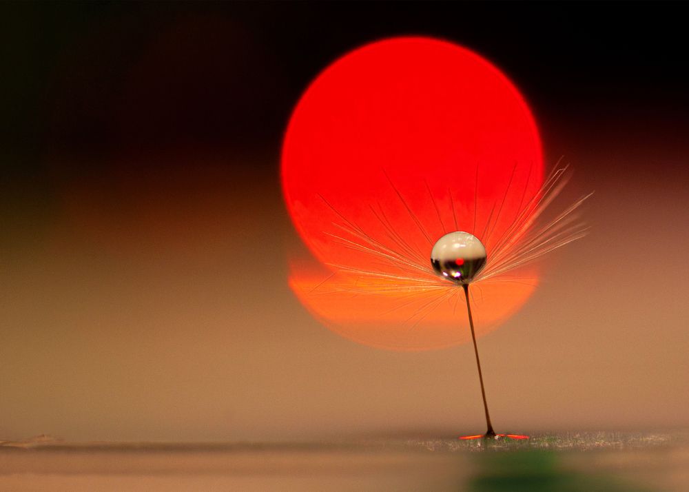 Photograph by Mirjana Spajić Buturac