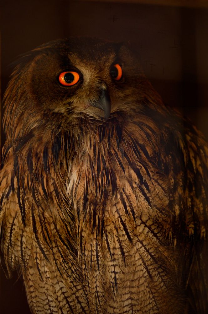 Photograph by Арина Егина