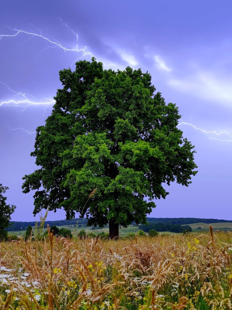 Примхи природи