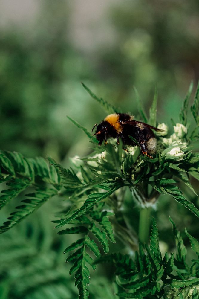 Photograph by Наталья Могилевская