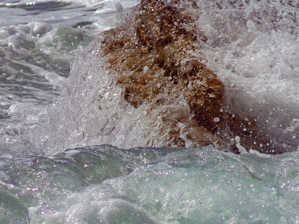 Photograph by Olinda Garcia Favre