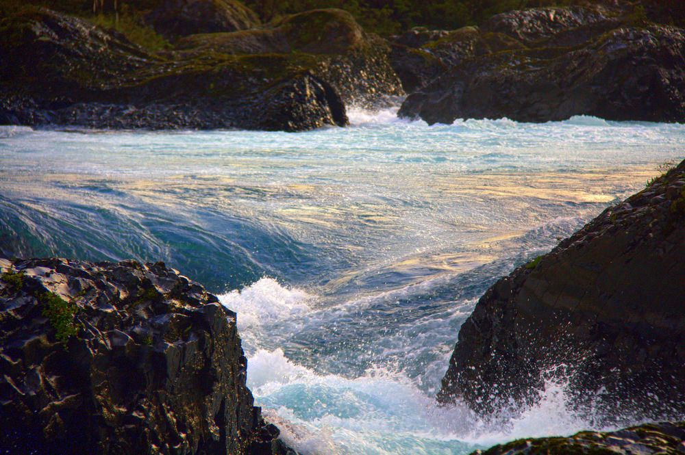 Photograph by Olinda Garcia Favre