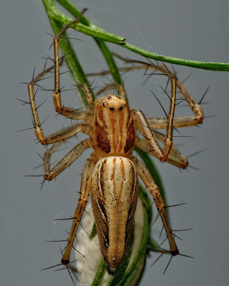 Photograph by Indriyati