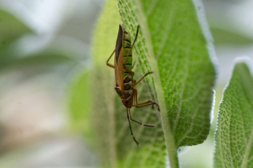 Photograph by Olinda Garcia Favre