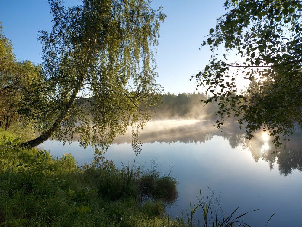 Начало лета.
