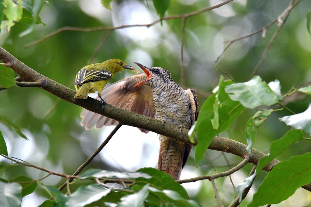 Photograph by SOO KAI OON