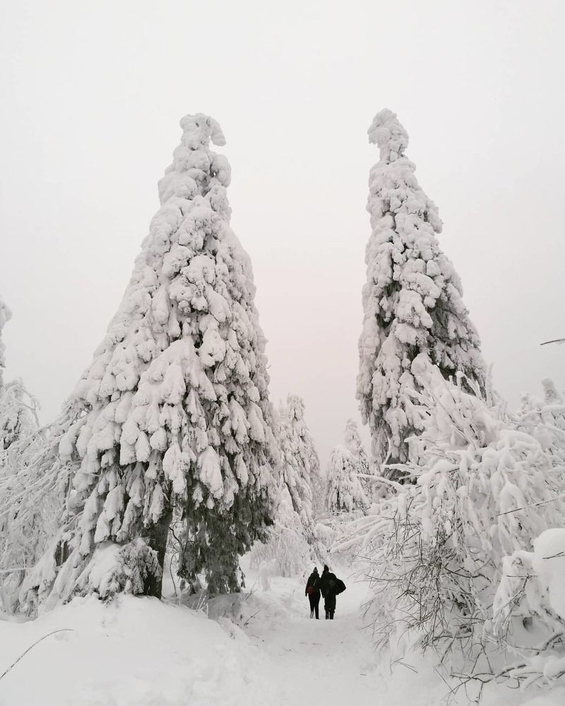 Photograph by Inna Korepanova