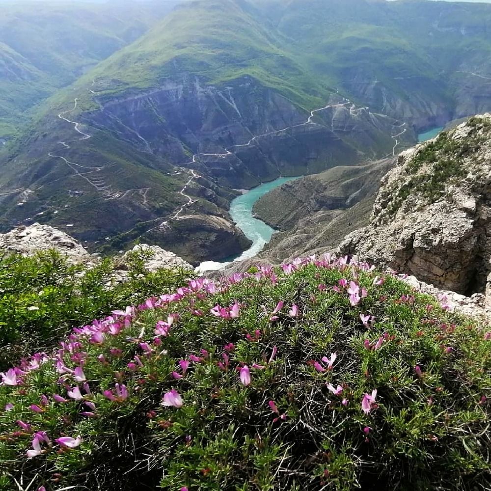 Photograph by Inna Korepanova