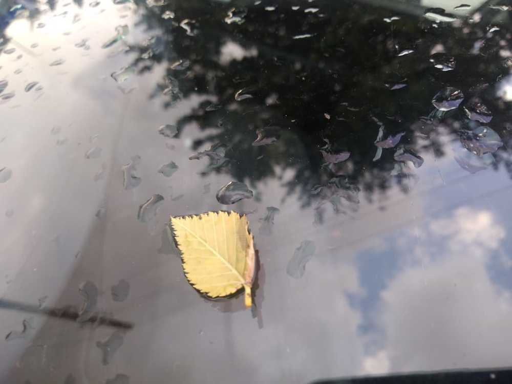 Осеннее уныние