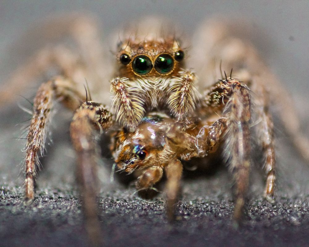 Photograph by Utsav Bhatt