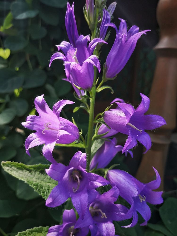 Photograph by Ирина Коновалова