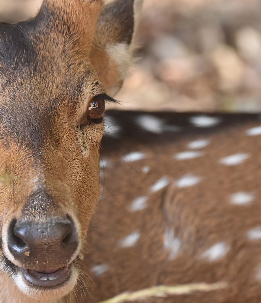 Photograph by Aahana Patole