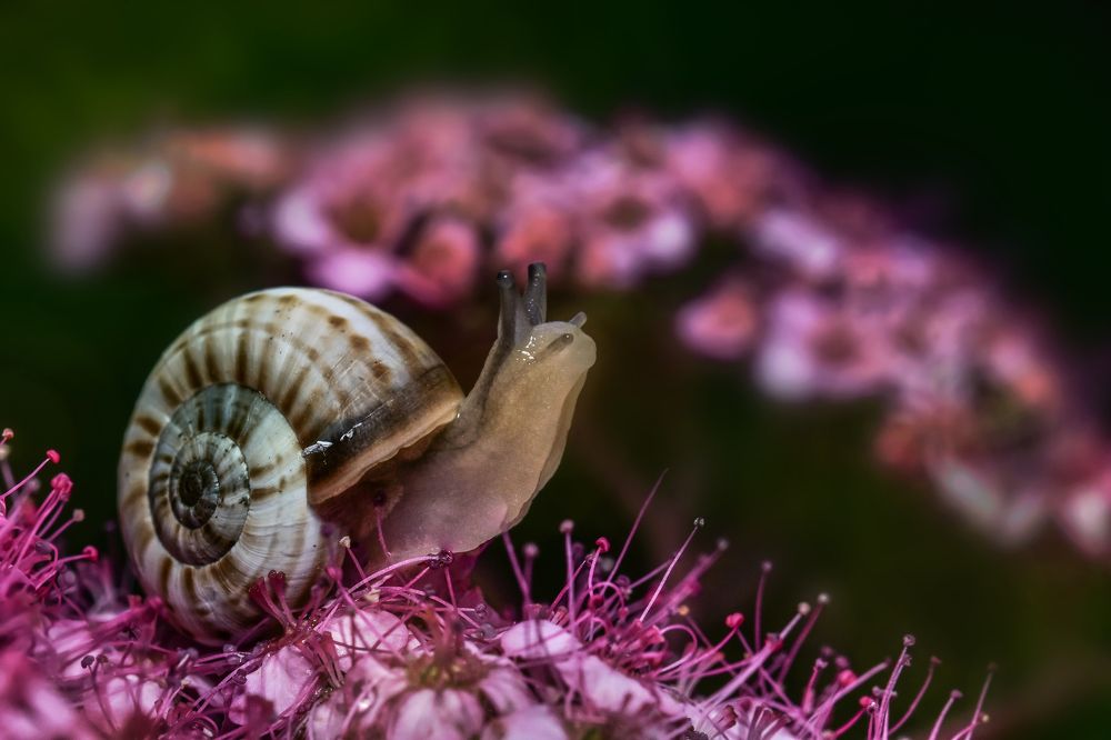 Photograph by Андрей Зимин