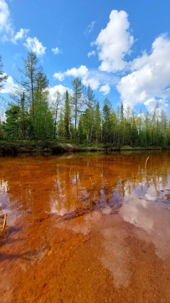 Photograph by Ангелина