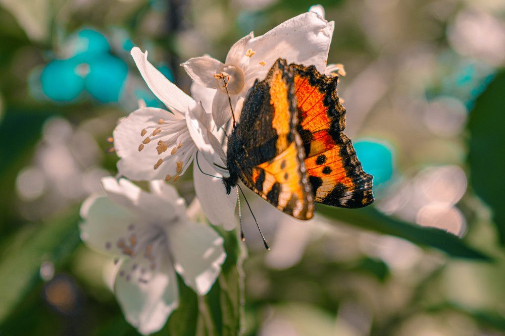 Photograph by Александр Катюрин