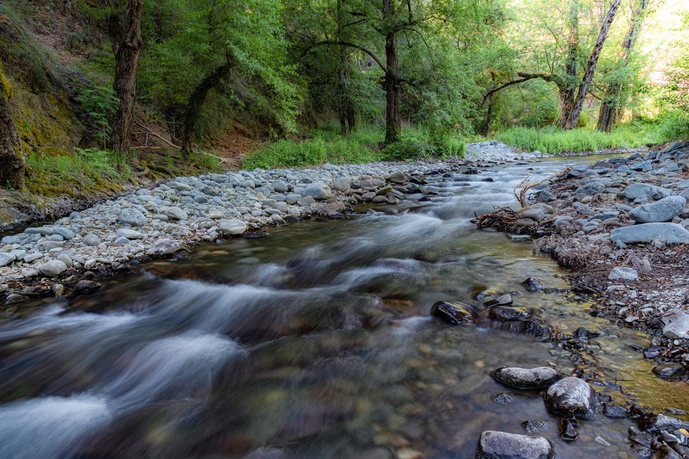 Photograph by Ognyan Levashki