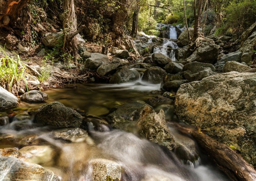 Photograph by Ognyan Levashki