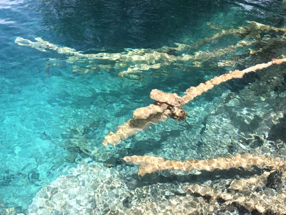 Photograph by Blazana Kristo