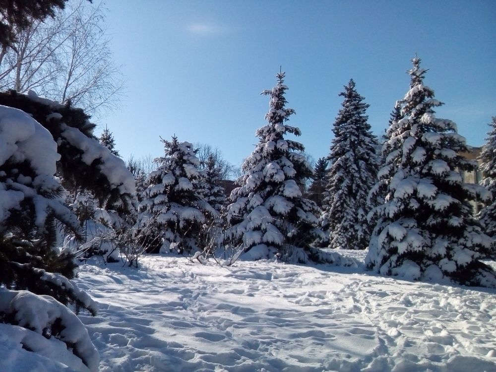 Photograph by Адамян Анна