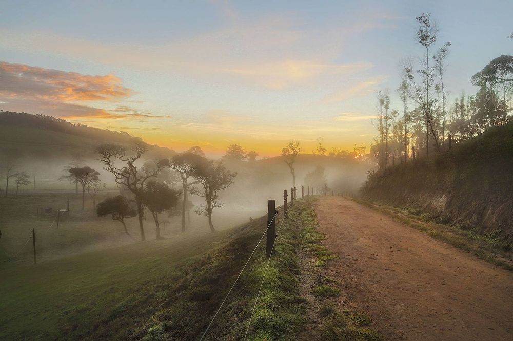 Photograph by Roshan Premathilaka
